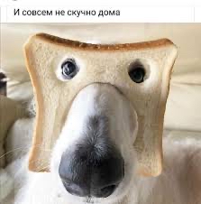 И совсем не скучно дома