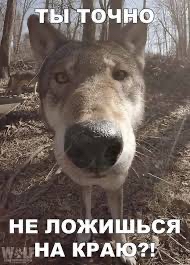 Не ложи ьс м '.мна кр.а