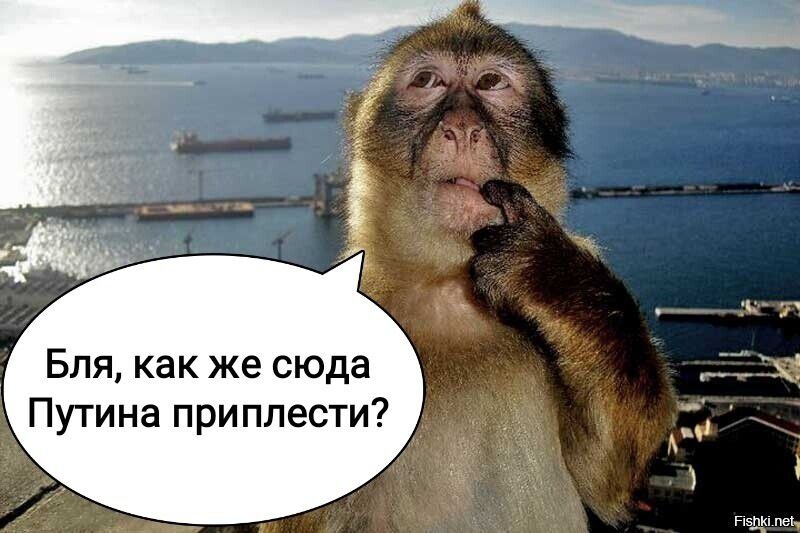 Бля как же сюда Путина приплести