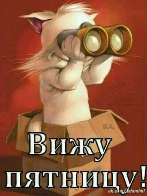 ЁИАзуЖ пятйГцу