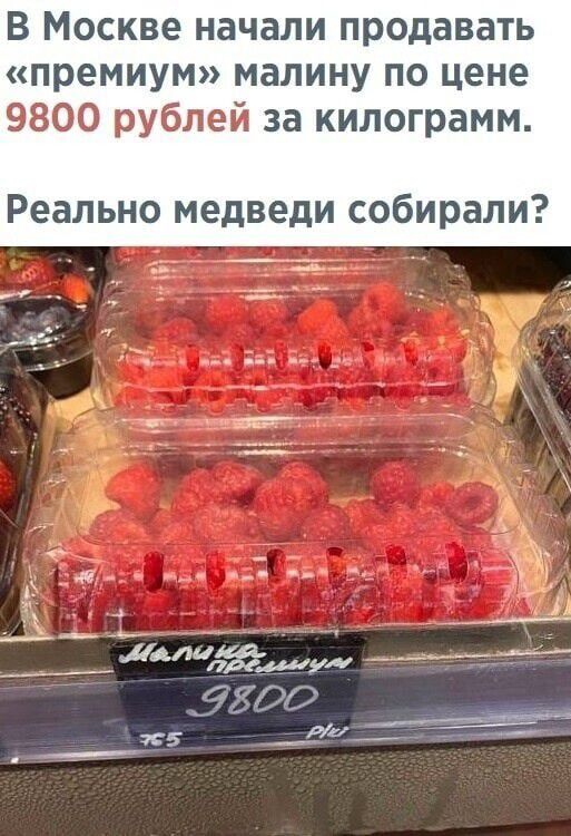 В Москве начали продавать премиум малину по цене 9800 рублей за килограмм Реально медведи собирали _ДАш у _ _ _ 5500