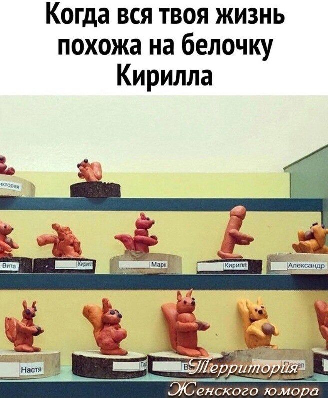 Когда вся твоя жизнь похожа на белочку Кирилла 4 мы енского юмо а