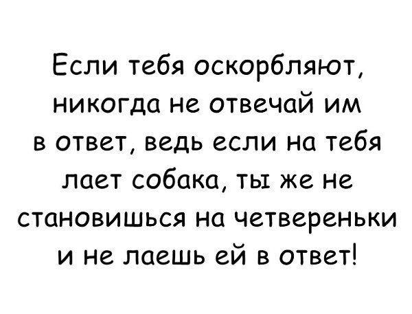 Если тебя оскорбляют никогда не отвечай им в ответ ведь если на тебя лает собака ты же не становишься на четвереньки и не лаешь ей в ответ