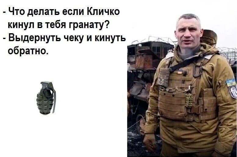 Что делать если Кличко кииуп в жебя гранату Выдернуть чеку и кинуть обратно