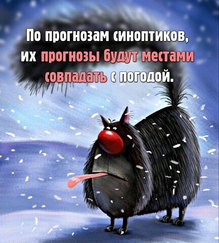 ИХ ИПОГНОЗЫ ШШШ ИЕЁТВМЕ ювтащат
