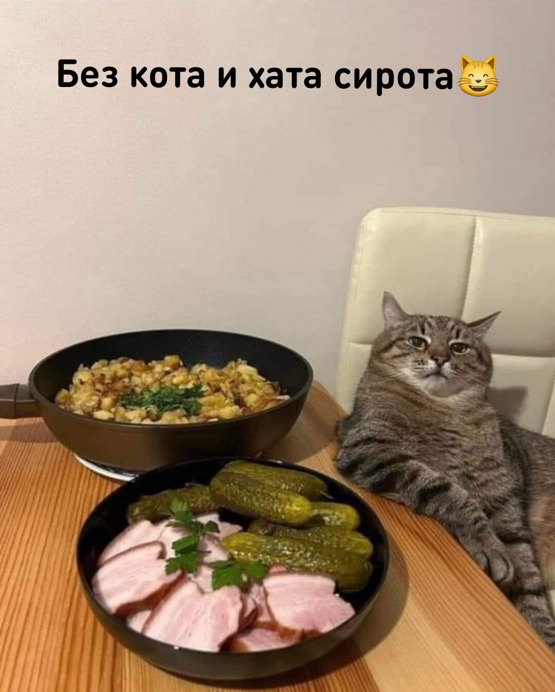 Без кота и хата сирота