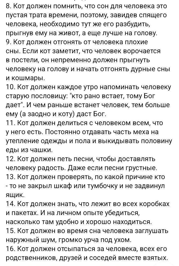 8 Кот должен помнить что сон для человека это пустая трата времени позтому завидев спящего человека необходимо тут же его разбудить прыгнув ему на живот а еще лучше на голову 9 Кот должен отгонять от человека плохие сны Если кот заметит что человек ворочается в постели он непременно должен прыгнуть человеку на голову и начать отгонять дурные сны и кошмары 10 Кот должен каждое утро напоминать челов