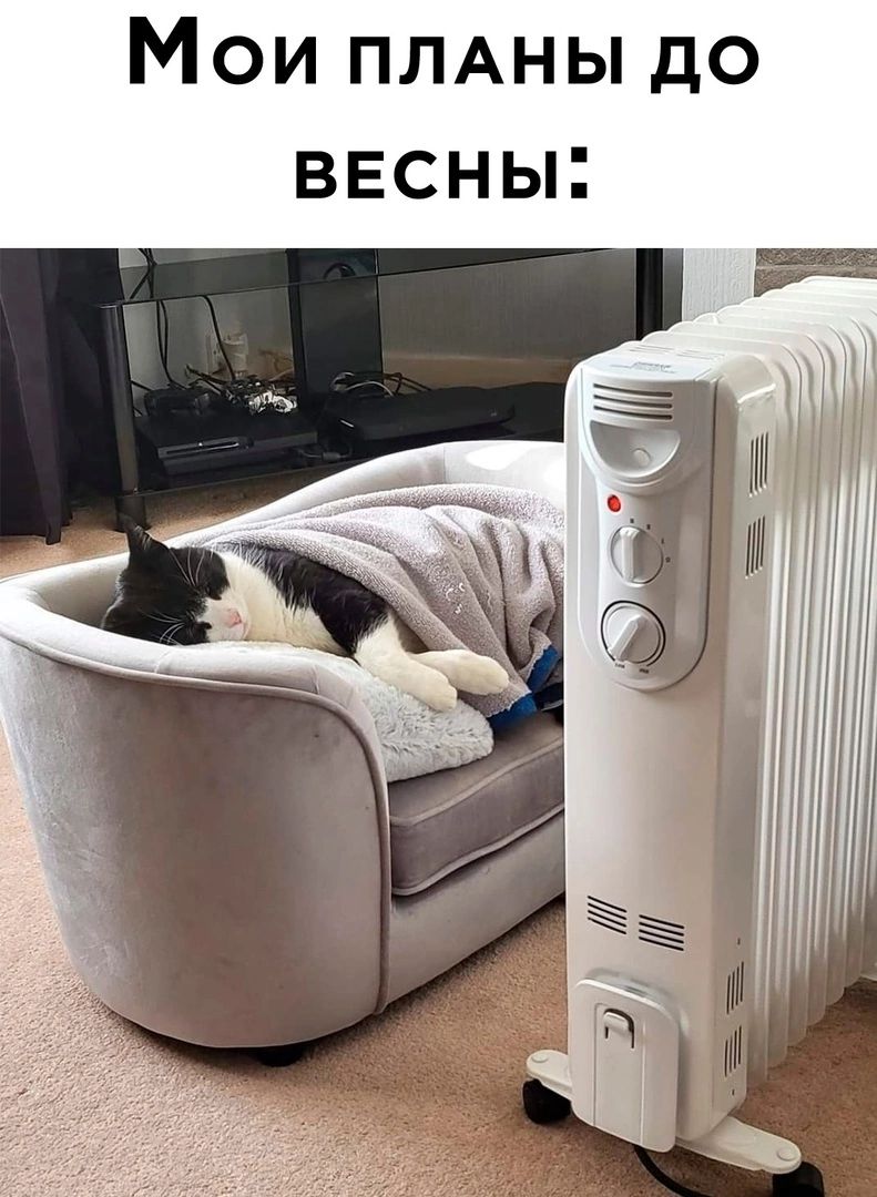 Мои ПЛАНЫ до весны