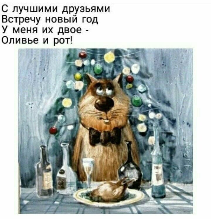 С лучшими друзьями Встречу новыи год У меня их двое Оливье и рот