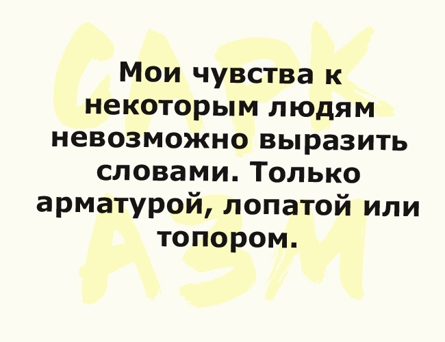 Мои чувства к некоторым людям невозможно выразить словами Только арматурой лопатой или топором