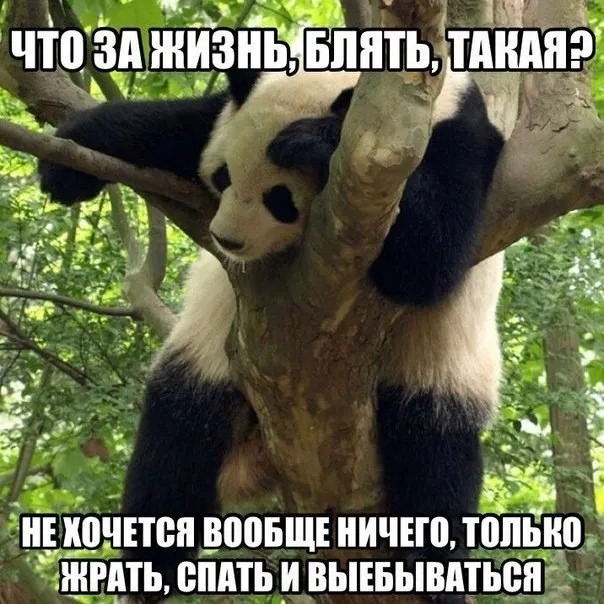 Ёя 5чтціздзн інпь тЁНА 3 у П ёТг а НЕ ВНПВП ВБЩЕ ИЧЕШ ПШЫЮ Р П ВМП _ ВЫЕБЫВАТЬВП