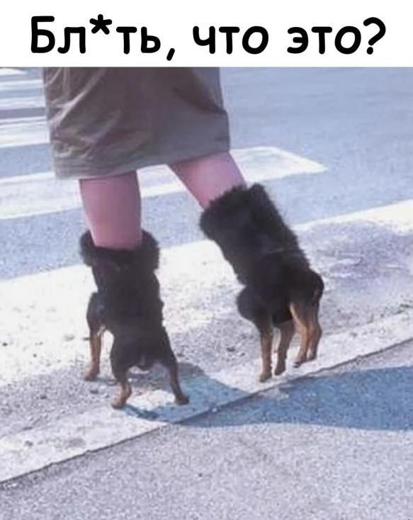 7_ Блть что это