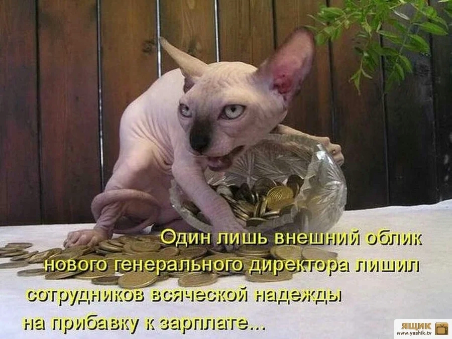 гда прибавку мрплцгэ