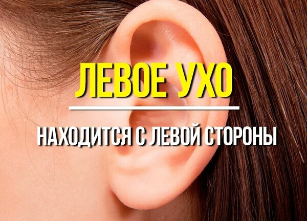 ЛЕВНЕ УЮ швшдшшя слазил к праны