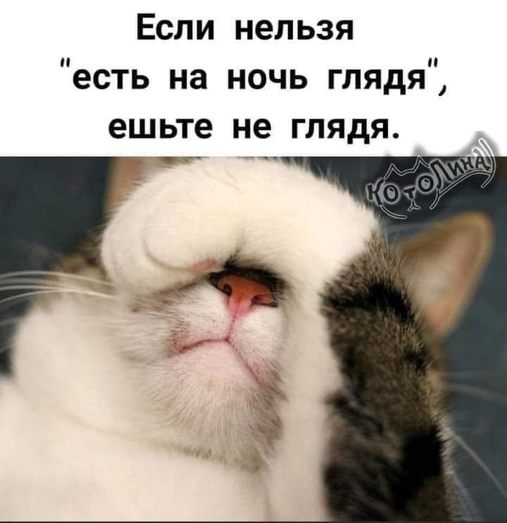 Еспи нельзя есть на ночь глядя ешьте не глядя