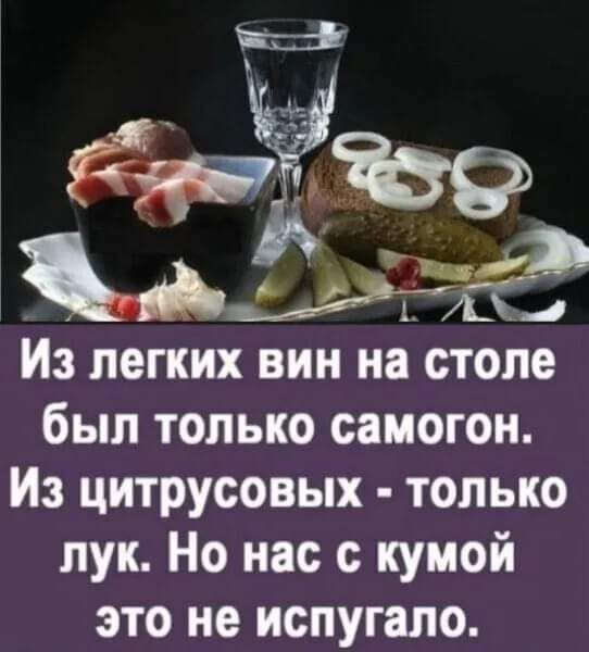 Из легких вин на столе был только самогон Из цитрусовых только лук Но нас кумой это не испугало