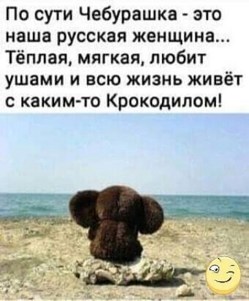 По сути Чебурашка это наша русская женщина Тёплая мягкая любит ушами и всю жизнь живёт с каким то Крокодилом