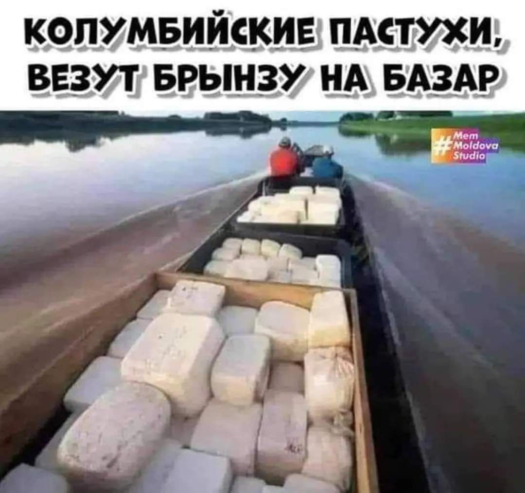 КОПУМБИЙСКИЕ пити ВЕЗУТ БРЫНЗУ Н_А БАЗАР