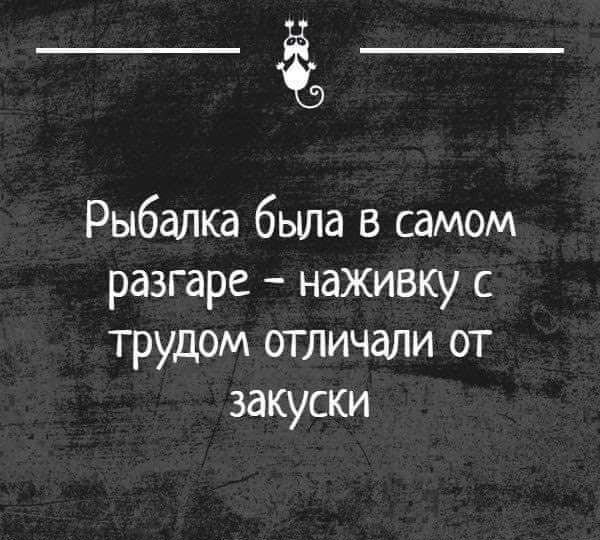 __ёъ Рыбалка была в самом разгаре наживку с трудом отличали от закуски миншщ