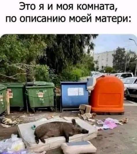 ЭТО Я И МОЯ КОМНЗТЗ по описанию моей матери