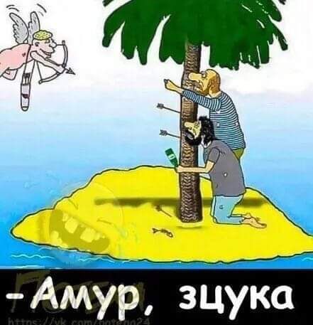 Амур зЦука