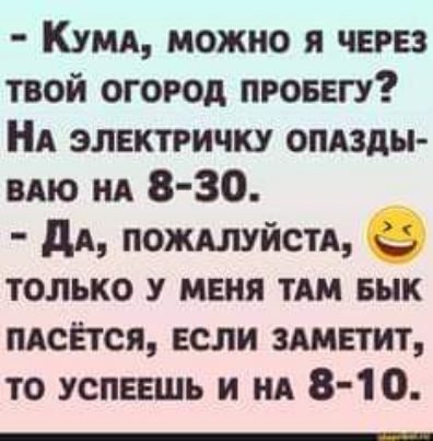 Куш можно я через твой огород пговегу НА электричку опазды ию нд 8 30 дд пожшйстд 9 только у меня тт Бык пАсЁтся если аппетит то успеешь и ид 8 10