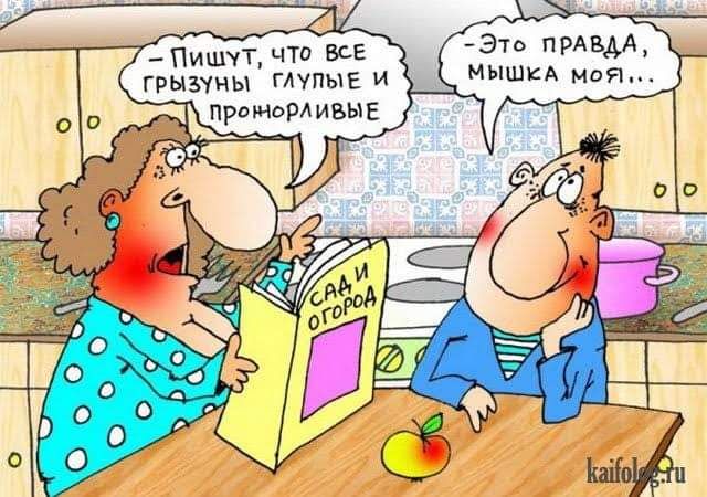 ПишчтчТ7 все 73 прдвм грызуны глупыі и мыши моя ПрэМдРАИВЫЕ