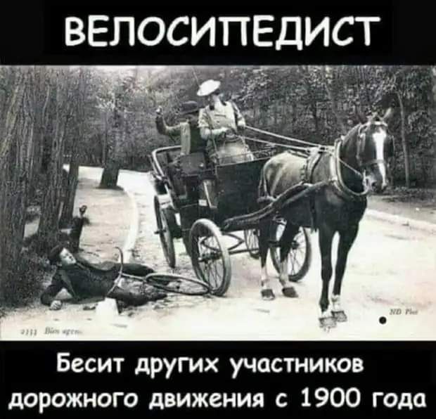 ВЕЛОСИПЕДИСТ Бесит других участников дорожного движения с 1900 года