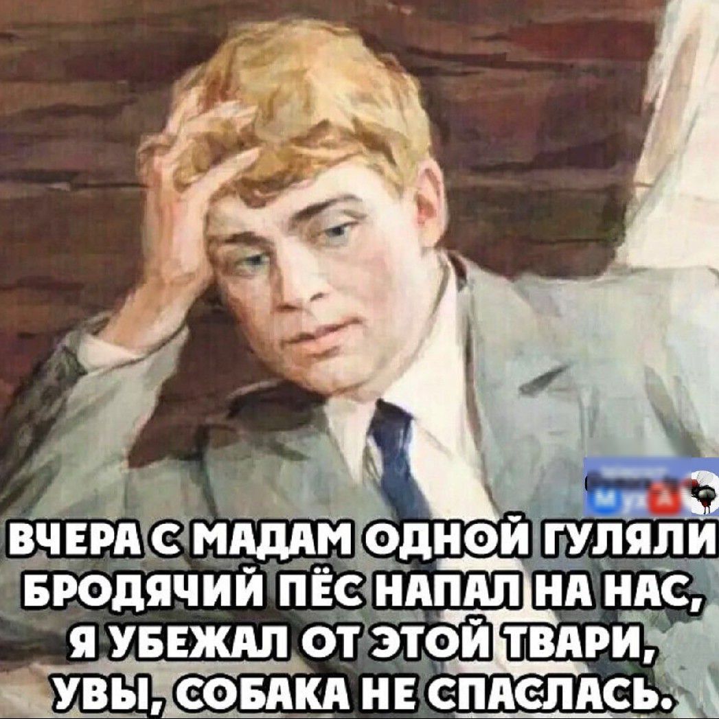 _вдгпмз ае ли БРОДЯЧИИ ПЕС НАПАЛНА НА Я УБЕЖАЛ ОТ ЗТОИ ТВАРИ ШОУВЫКСОБАКА НЕ СПАСЛАСЬ