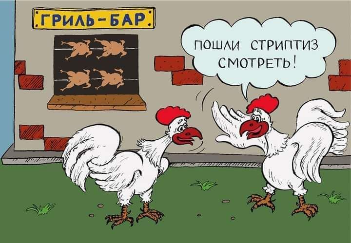 ГРИЛЬ БАР