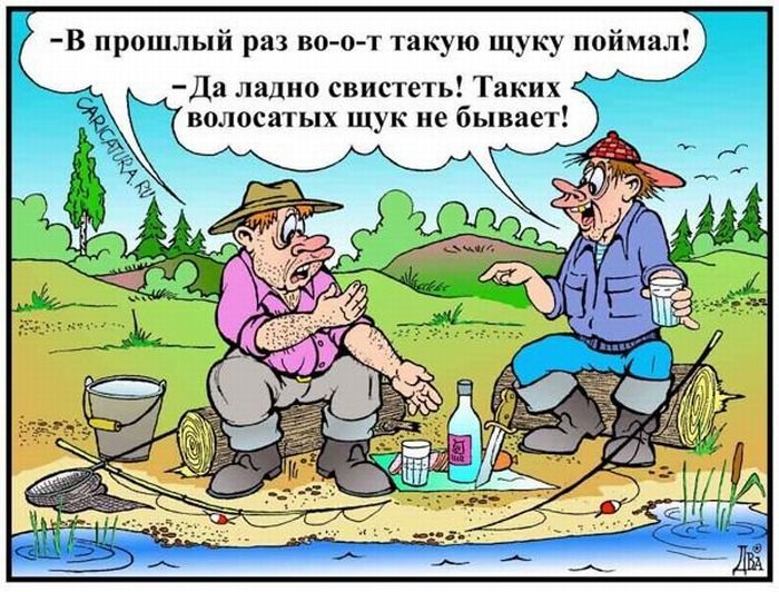 В прошлый раз во о т такую щуку поймал Да ладно свистеть Таких волосатых щук не бывает