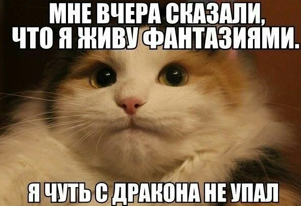 МНЕ ВЧЕРА СКАЗАЛ Ч П ШИВЁФАНШЗИПМИ н ЧУТЬ дгдионд НЕ ипдп