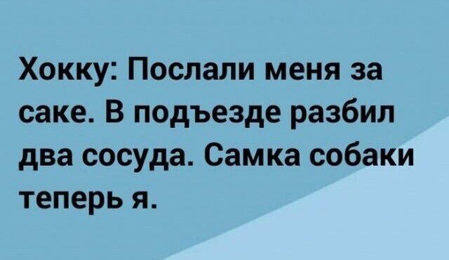 Хокку Послали меня за саке В подъезде разбил два сосуда Самка собаки теперь я