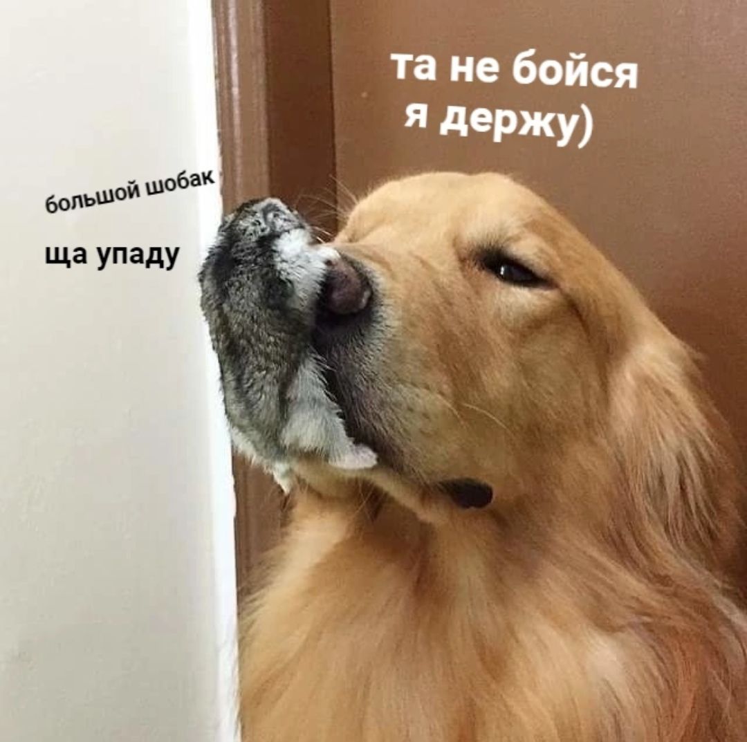 та не бойся большой 63 ща упаду