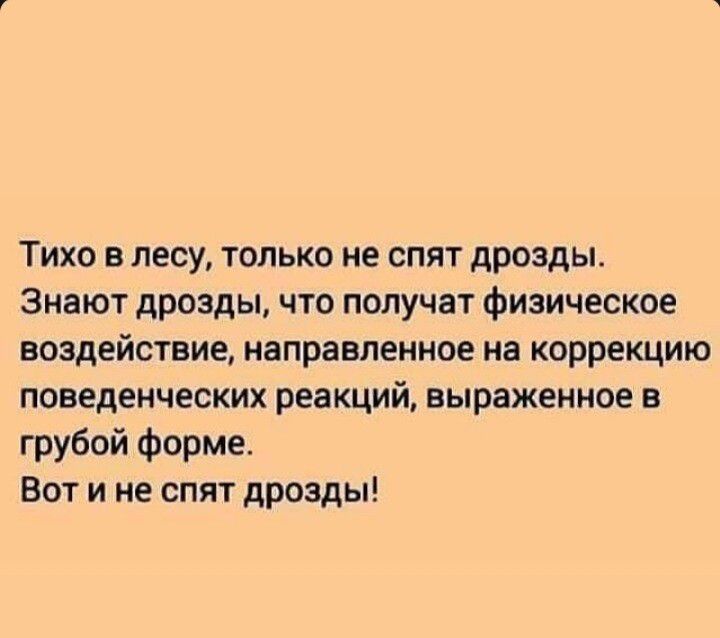 Тихо в лесу, только не спят дрозды. Знают дрозды, что получат физическое воздействие, направленное на коррекцию поведенческих реакций, выраженное в грубой форме. Вот и не спят дрозды!