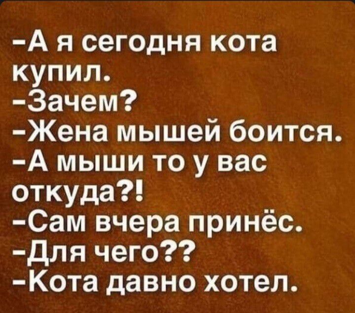 А я сегодня кота купил Зачем Жена мышей боится А мыши то у вас откуда Сам вчера принёс Для чего Кота давно хотел