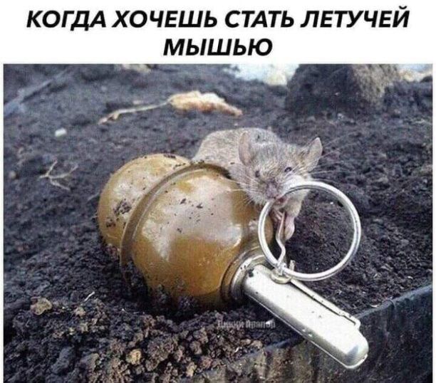 когдА хо ЧЕШЬ стдть лвтучьй мышью