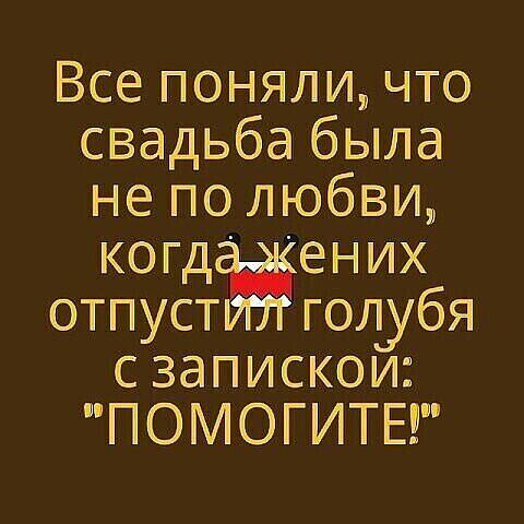Всепоняличто свадьбабьша неполюбвщ когд ених отпуст голубя сзапискои ПОМОГИТЕ