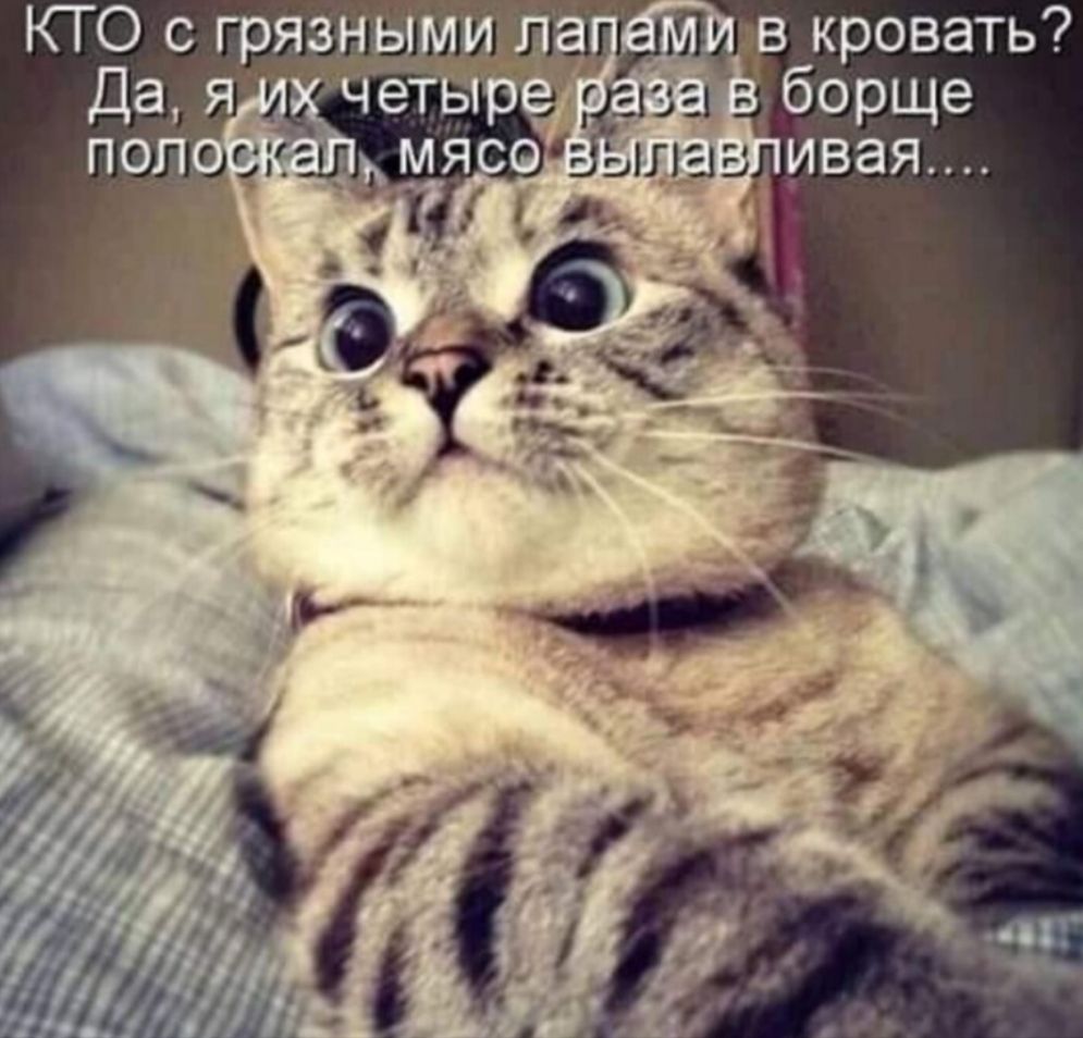 в кровать борще