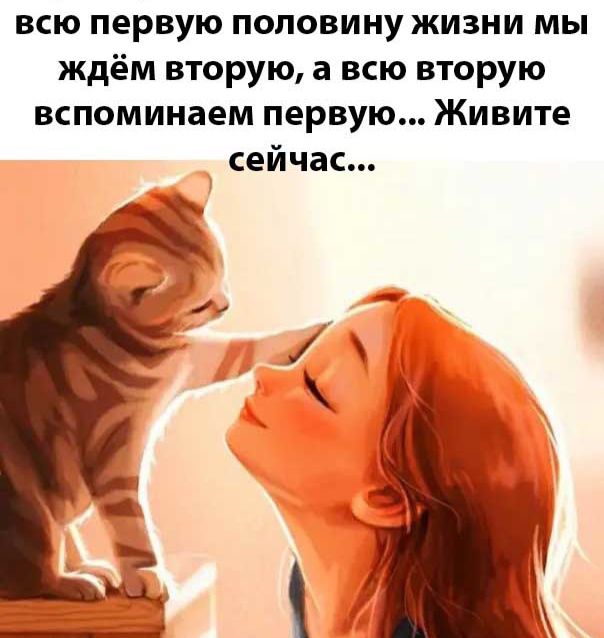 всю первую половину жизни мы ждём вторую а всю вторую вспоминаем первую Живите сейчас