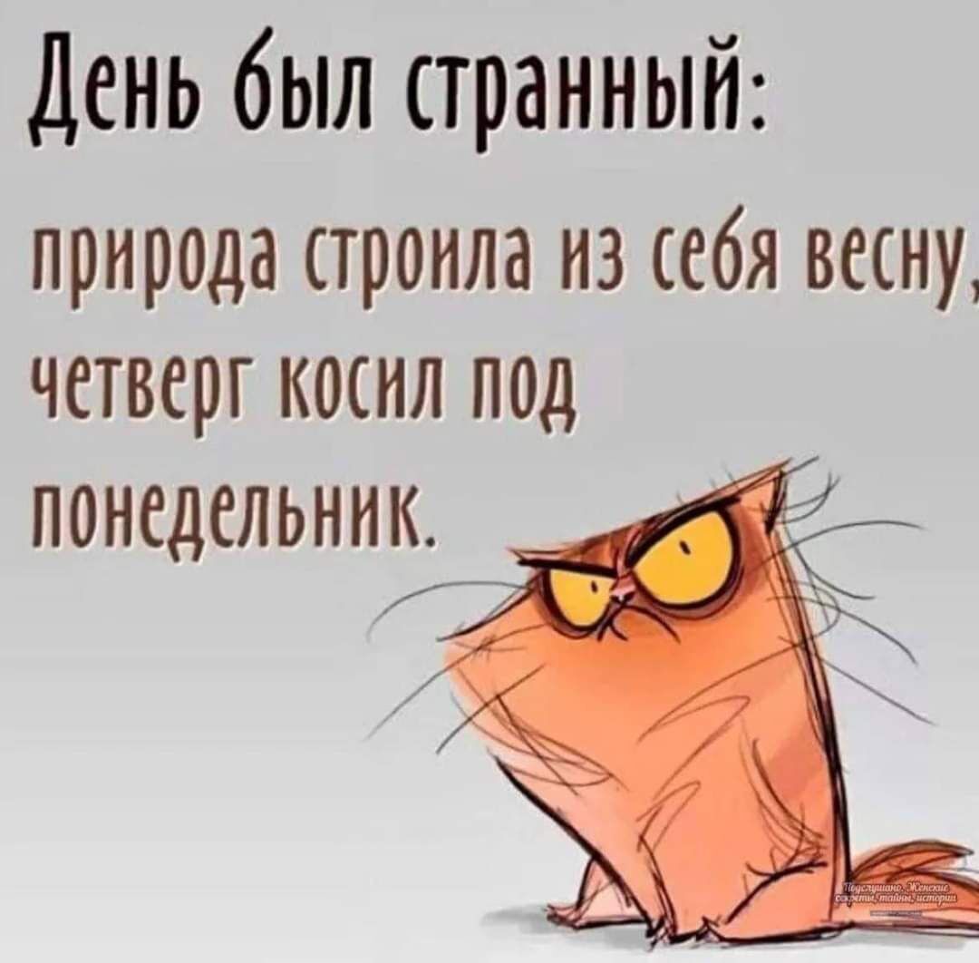 День был странный прироца строила из себя весну четверг косил пед понедельник