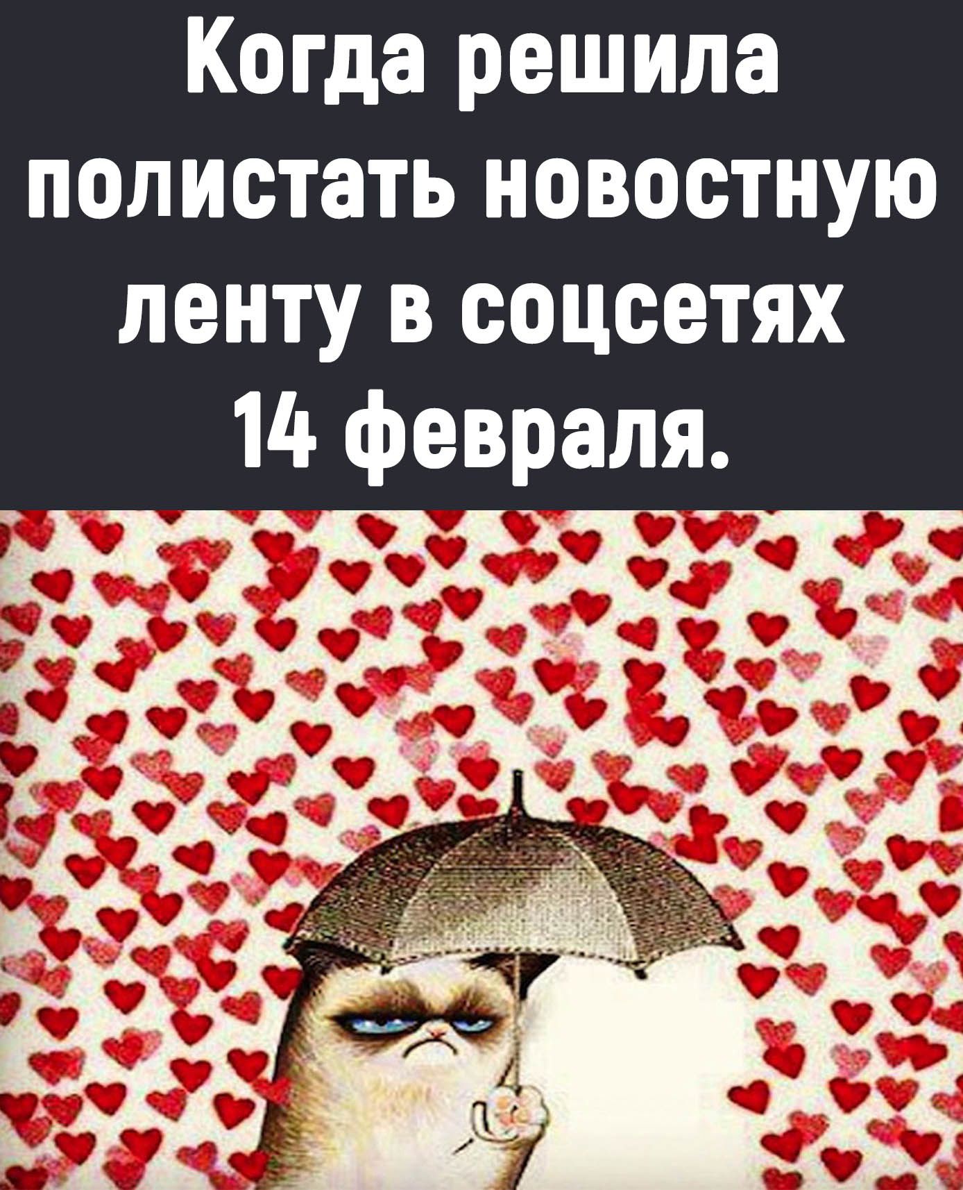 Когда решила полистать новостную ленту в соцсетях