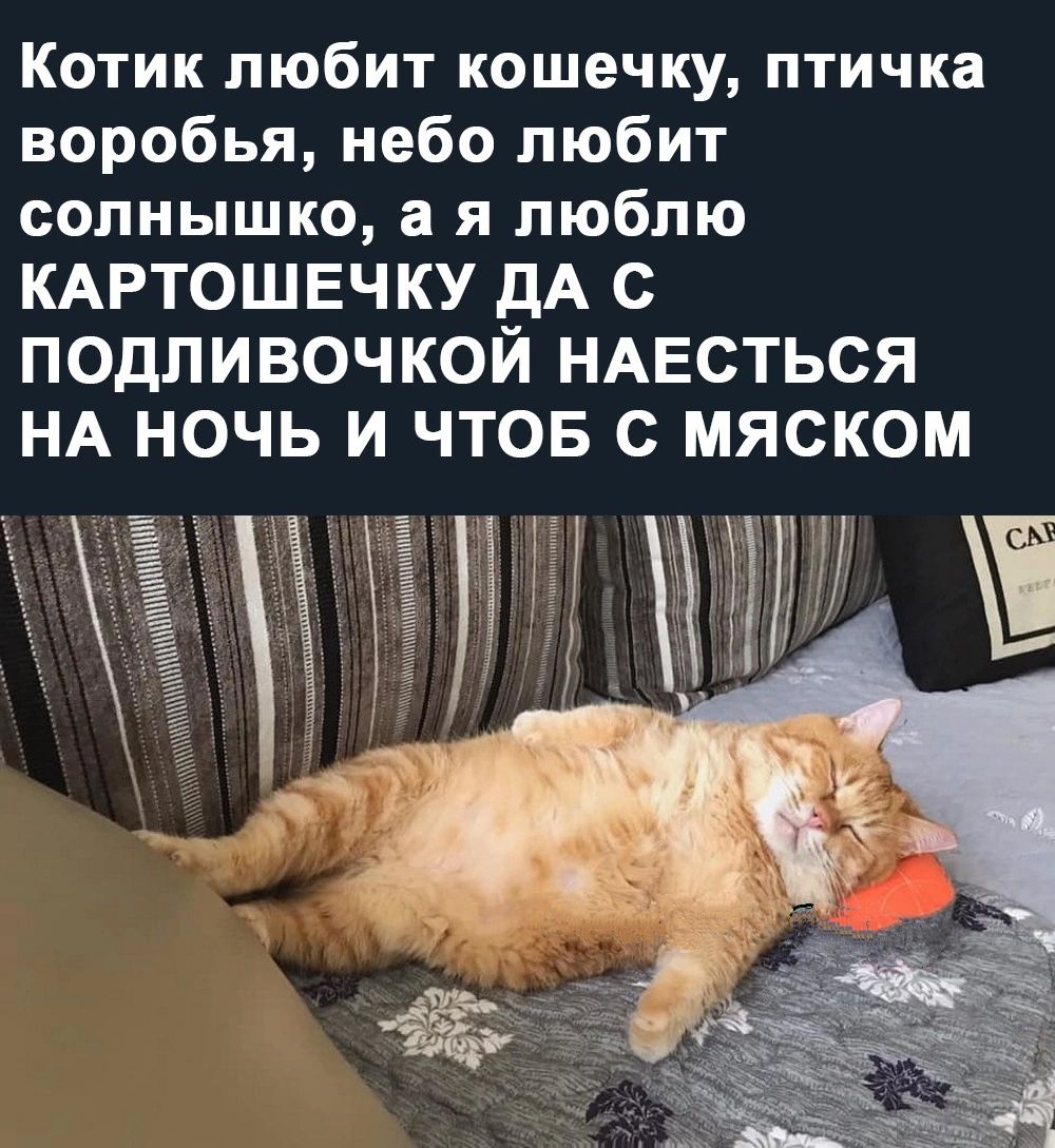 Котик любит кошечку птичка воробья небо любит солнышко а я люблю КАРТОШЕЧКУ ДА С ПОДЛИВОЧКОЙ НАЕСТЬСЯ НА НОЧЬ И ЧТОБ С МЯСКОМ НН опнонанииИ