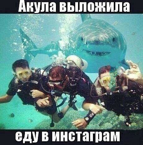 Я еду в инетатам