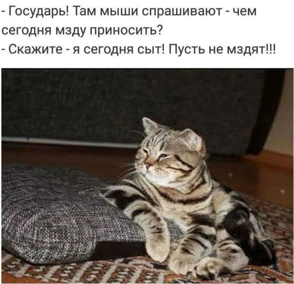 Государь Там мыши спрашивают чем сегодня мзду приносить Скажите я сегодня сыт Пусть не мздят