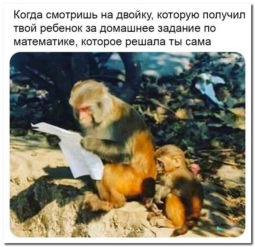 Когда смотришь на двойку которую получил твой ребенок за домашнее задание по математике которое решала ты сама