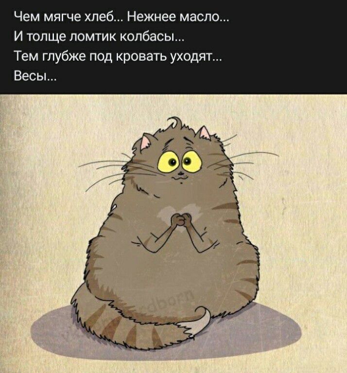 Чем мягче хлеб Нежнее масло И толще ломтик колбасы Тем глубже под кровать уходя Весы