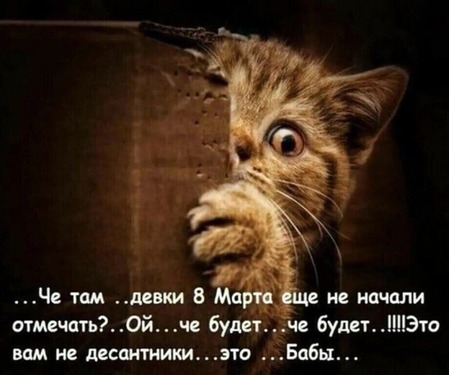 там девки 8 Ма _ не начали отмечать Ой че будет Ёче будет ШЭто вам не десантникиэто Бабы