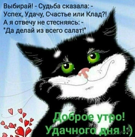 Выбирай Судьба сказала Успех Удачу Счастье или Клад А я отвечу не стесняясь Да делай из всего салат