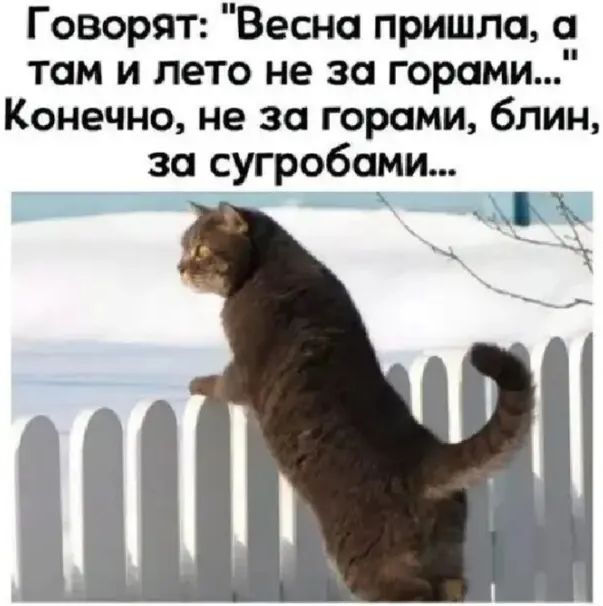 Говорят Весна пришла там и лето не за горами Конечно не за горами блин за сугробами м _
